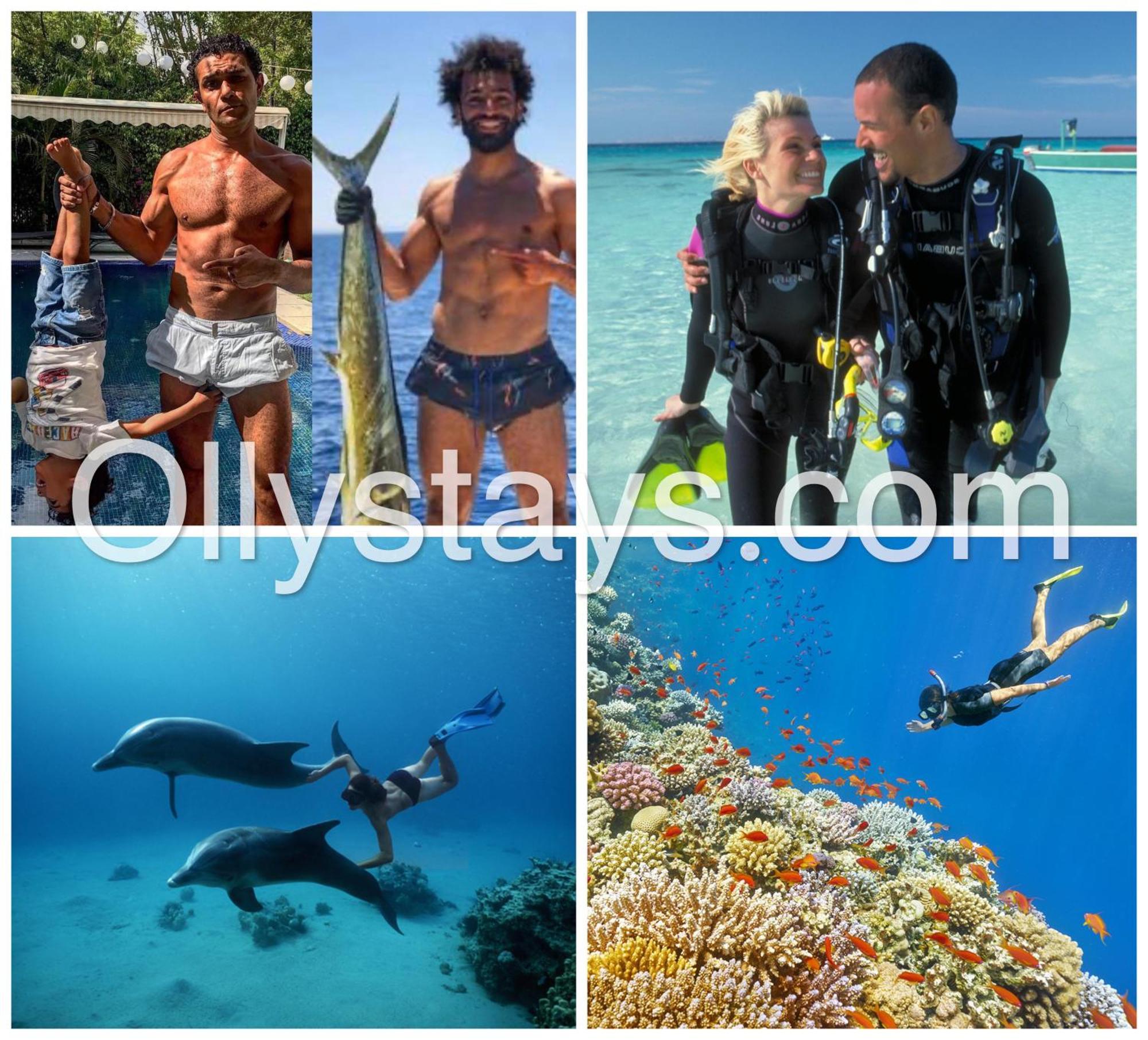 Ollystays Mangroovy 1 Bedroom Beach And Pool Free Access Hurghada Buitenkant foto