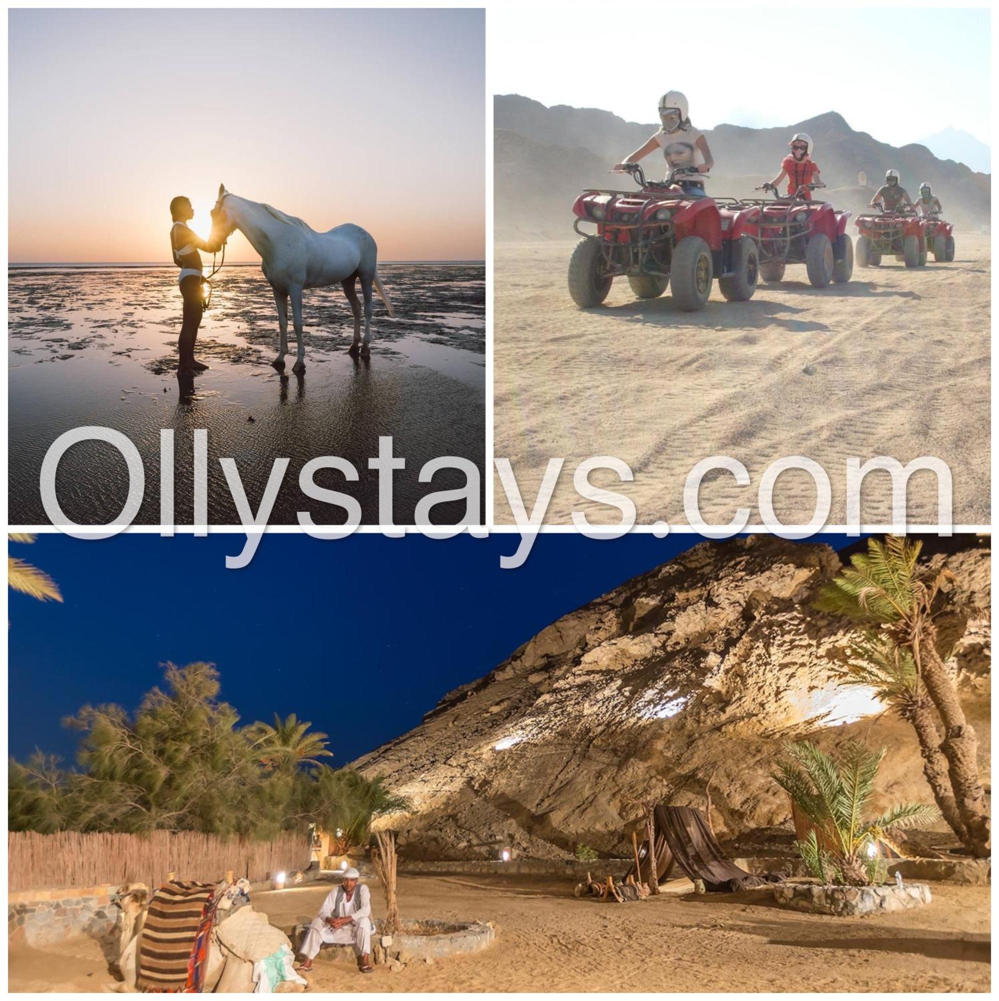 Ollystays Mangroovy 1 Bedroom Beach And Pool Free Access Hurghada Buitenkant foto